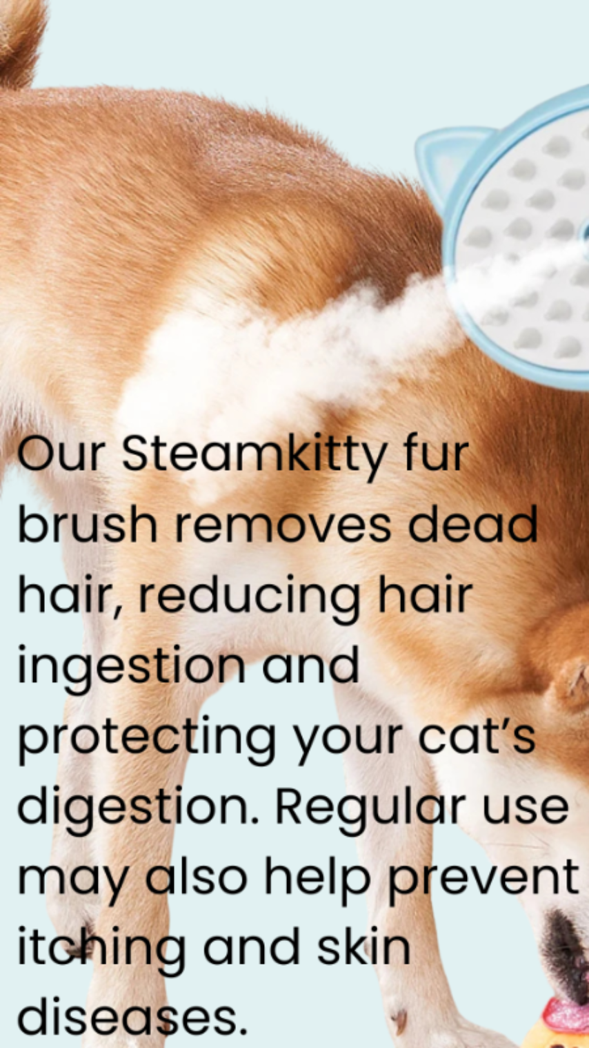 3 in 1 Steam Brush
