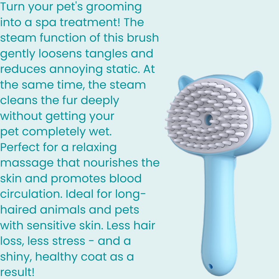 Hair Cleaning Brush With Mist Multifunctional Cat Grooming Brush Rechargeable Self Cleaning Slicker Brush For Pets Dogs & Catsb Pet Products