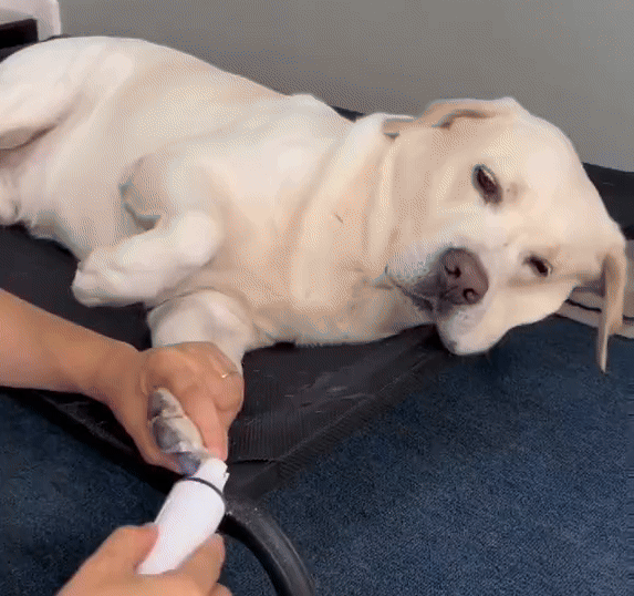 Nailcare-Trimmer + 1 Grinder Head