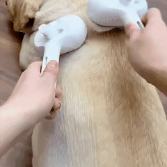 3 in 1 Steam Brush